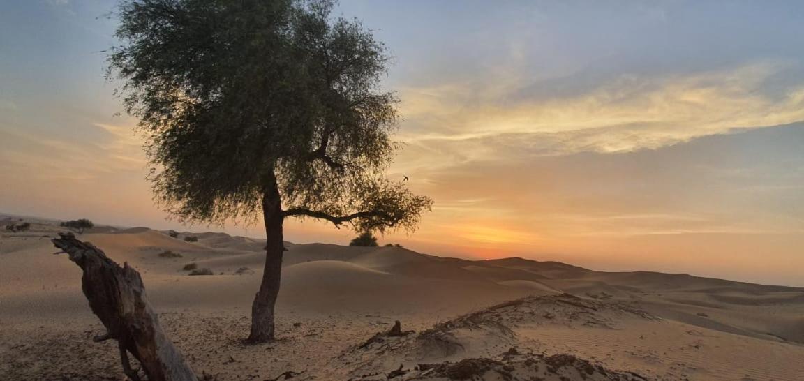 Al Khateem Art Hub Farm stay Abu Dhabi